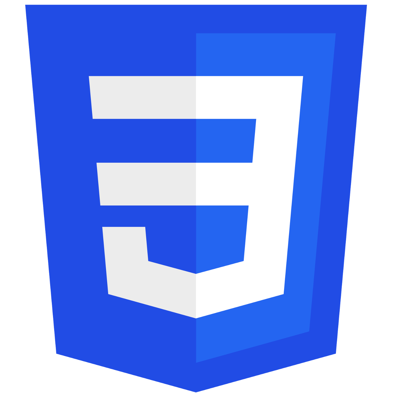 Logo do CSS3